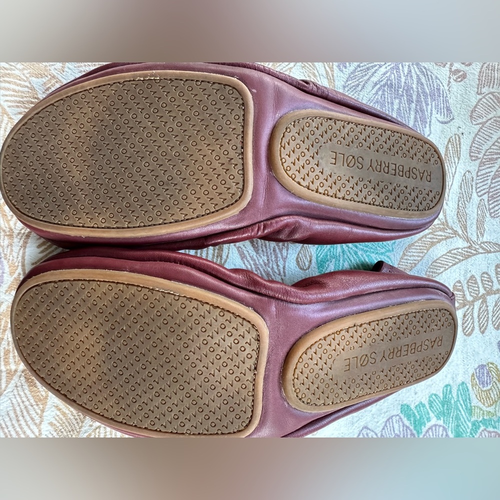 Raspberry Foldable Flats - Picture 2 of 4